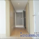 다온미즈 이미지