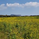 GS25 고성점 이미지