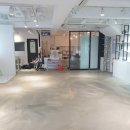 하이댕댕 이미지