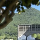 솔사랑민박 | 솔,파랑 가봤는데 진짜 만족스러웠다