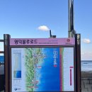삼사 바다산책로 | 영덕가볼만한곳 일출명소 삼사해상산책로 후기