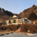 포레스트휴 이미지