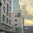 강쥐생각 | [수원] 인계동 애견동반 감성숙소 앨리스 호텔 방문 후기