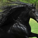 기타등등 이미지