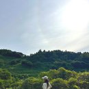 지에스25 팽성오성점 | 제주 호텔 예약 히든클리프 제주 가을제주여행 추천