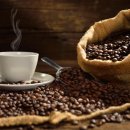 커피 섭취가 파킨슨병 치료에 도움 이미지