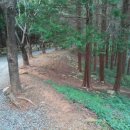 바람고개길 이미지