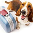 밥통소프트 이미지