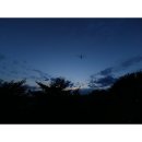 트윈스카페 이미지