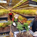 삼은경로당 이미지