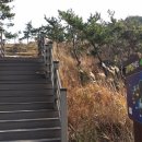 세포마을 경로당 이미지