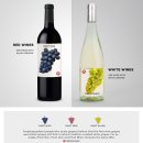 와인에 대해 쉽게 알아보기 이미지