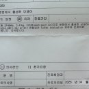 단일제대동맥 출산 후 복부초음파 후기