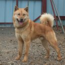 김영진농장 이미지