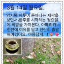 아메리칸커피 이미지