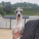 부곡파출소 이미지