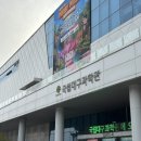 달성군청소년문화의집 | 국립대구과학관 2026 돔 페스티벌 체험후기