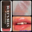 품절추가입고Burt’s Bees-13.900 이미지