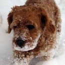 (주)계성문화 이미지