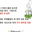 원정탕 네이버블로그