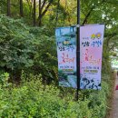 단풍미인포크영농조합법인 | 가을 향 물씬 풍기는 정읍 구절초 꽃 축제 및 지방 정원 다녀왔어용~~