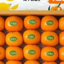 효돈농업협동조합 이미지