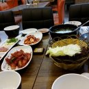 올림픽체육관 Daum카페