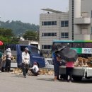 구 시장터 파이낸셜뉴스