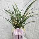 상록빌딩 | 중구 장교빌딩 세무법인 황룡금 배송 후기