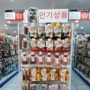 장보는강아지와고양이경기