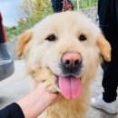 GS25 오창주성점 이미지