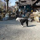 몽비쥬펜션 네이버블로그
