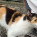 교가리(교가3리) 이미지