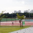 운정체육공원 축구장 네이버블로그