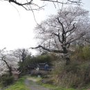 삼지재 이미지