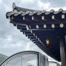 콜라니티다 이미지