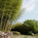 대나무골농장 이미지