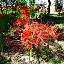 만평네거리 이미지