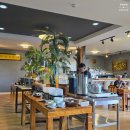 라면먹고갈래병점중상점 | 모알보알숙소 페스카도레스 앞바다 투어없이 거북이&정어리떼