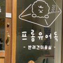 프롬유어독 이미지