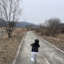 낙동강 레포츠밸리 강변오토캠핑장 | 대구 근교 쿠디 파밀리아 프로 구지오토캠핑장 강변오토캠핑장 예약방법 깡통열차 자전거 모래놀이...