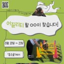 롤로파티 이미지