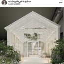 디어비바 (구 엘몽드) 드레스샵 1차 피팅 노비아갈라동촌 포레아홀 연계 웨딩드레스 고르기