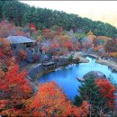 거북찻집 이미지