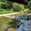 멍멍식객 | 동두천 오리고기맛집 왕방명가 커피까지 미쳤다.