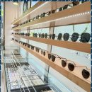 다봄안경 이미지