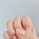 네일블러썸 - 충주시 금봉3길 14-1 | 팁토우 104 오로라블러썸 셀프네일 후기, 올리브영 네일 추천 (feat. 위드샨 & 반디)