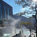 백운면 2110 | [충북_제천] 눈 덮인 산을 바라보며 즐기는 겨울 스파/ 리솜 해브 나인 스파