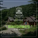 (주) 철마관광 이미지