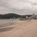 갯마을을 그리워하는 이미지